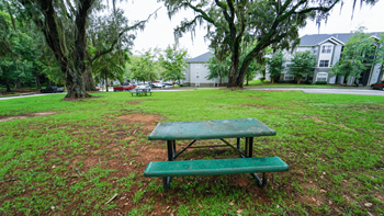 a picnic table and bench sit in a grassy area with buildings in the background